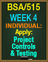 BSA/515 Week 4 Apply: Project Controls & Testing